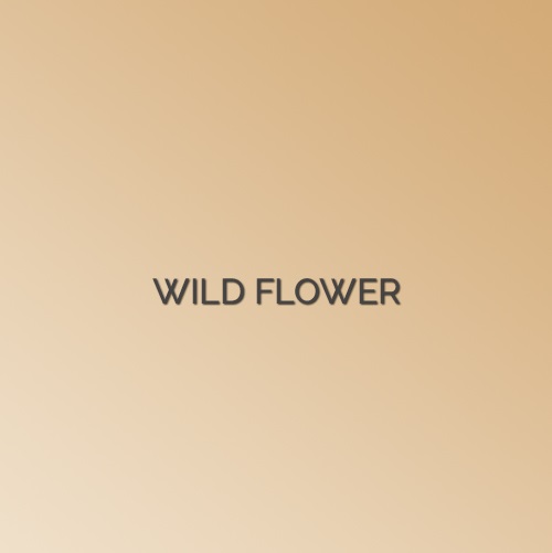 wildflower logo